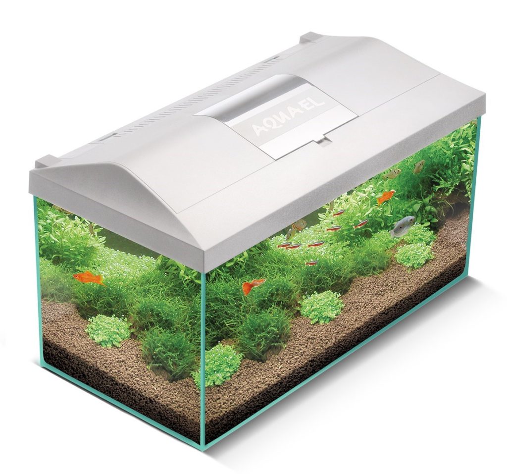 AQUARIUM SET LEDDY 60 white D&N 2.0