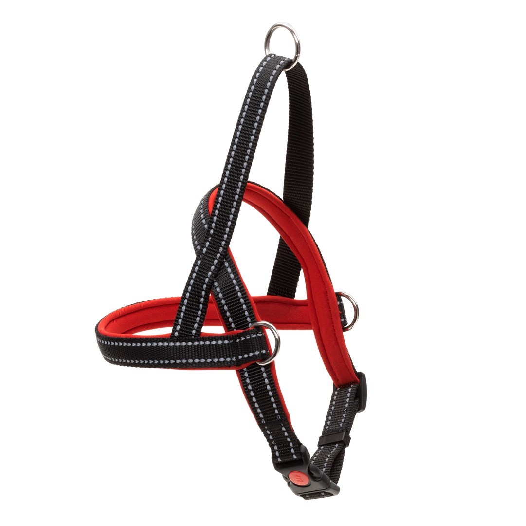 COMFY HARNESS TOM NORW XL x 3 X