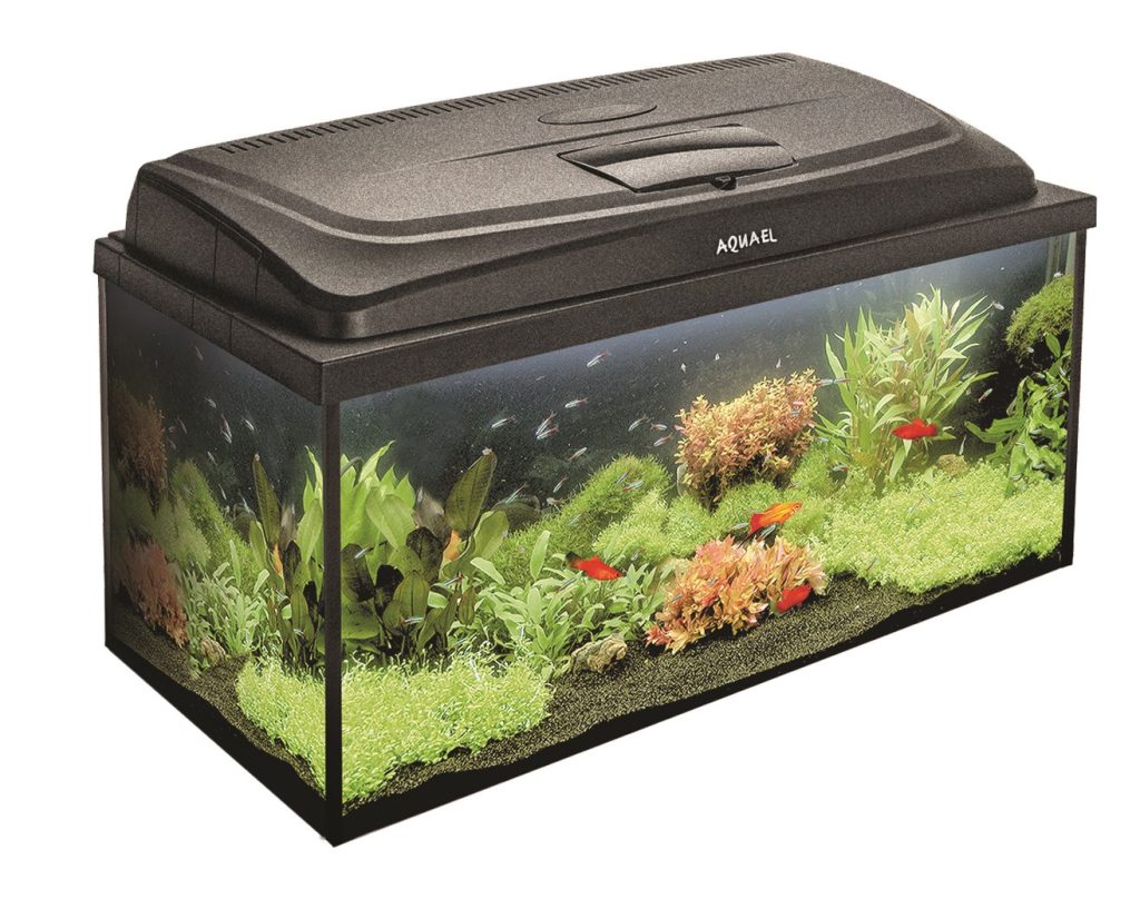 AQUARIUM SET AQUA4FAMILY 80/P D&N
