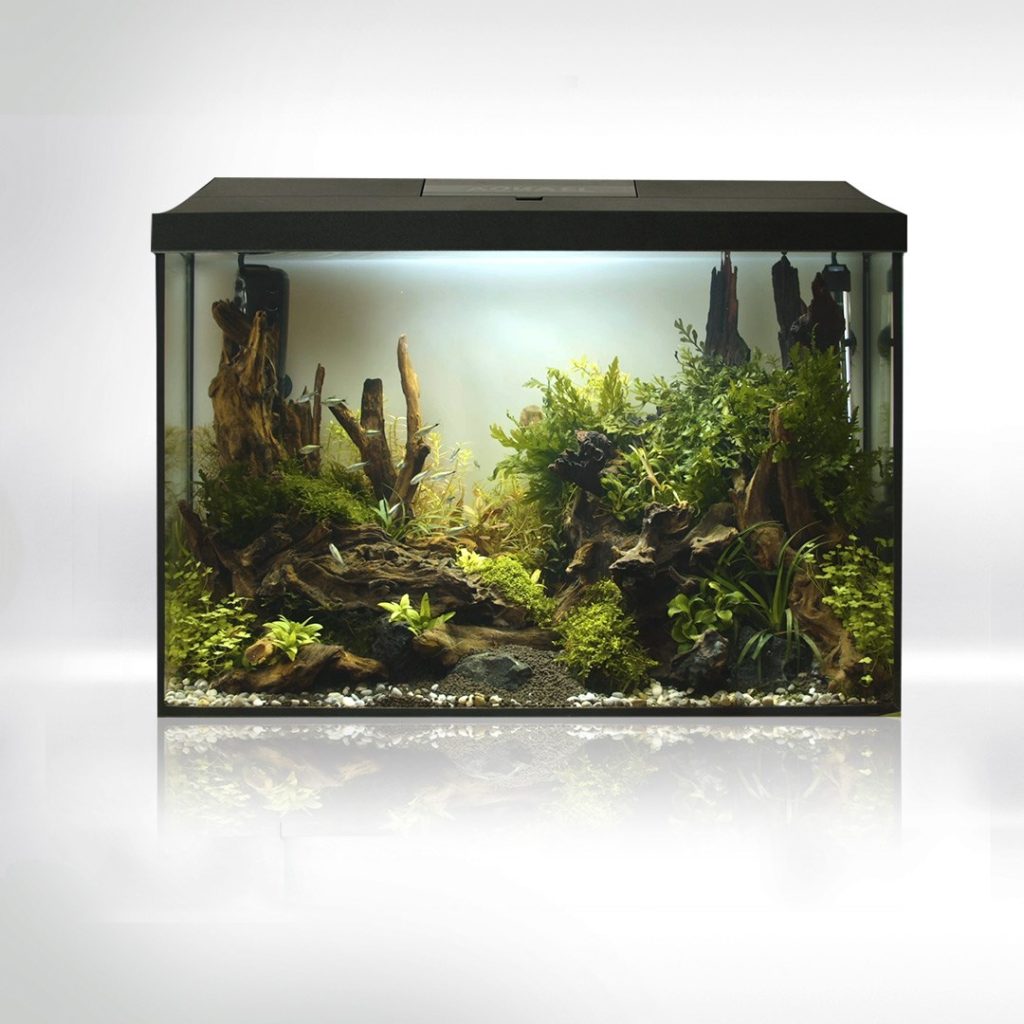 AQUARIUM SET LEDDY 40 XL BLACK D&N 2.0