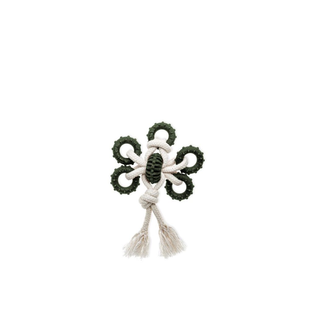 ECOMFY TOY DENTAL TOOTHER ECO OLIVE sc X