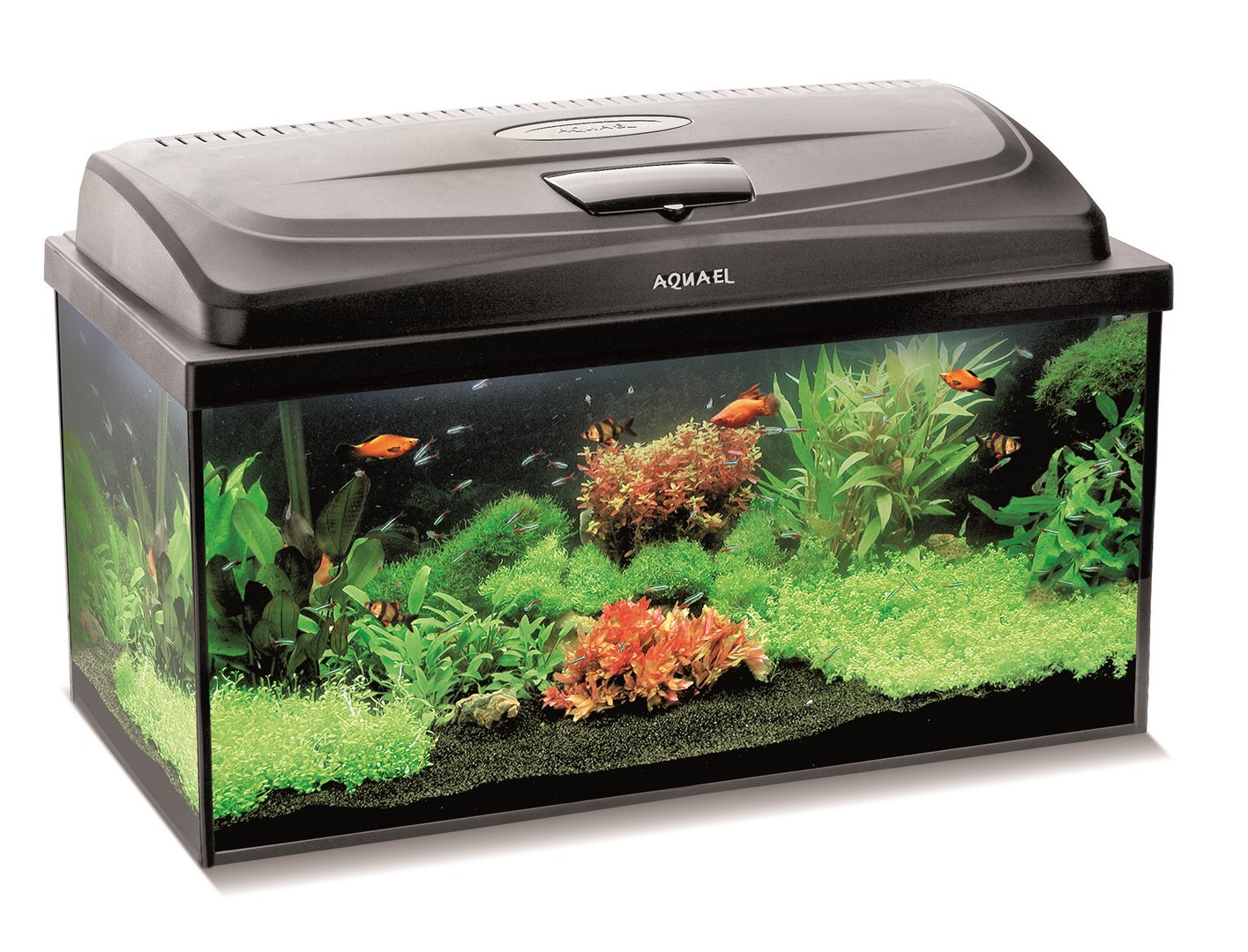 AQUARIUM SET CLASSIC BOX 60/P D&N