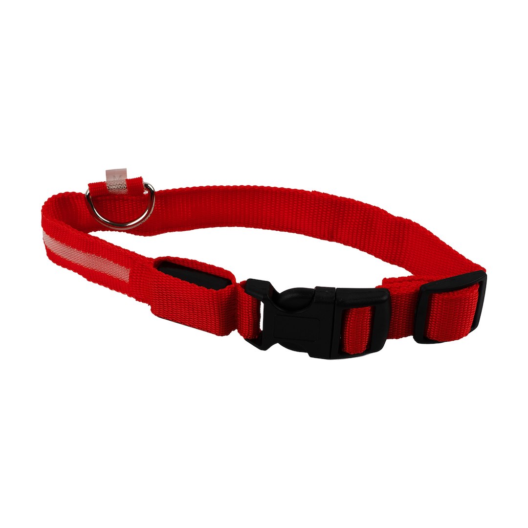 HAP COLLAR LIGHT LED RED M