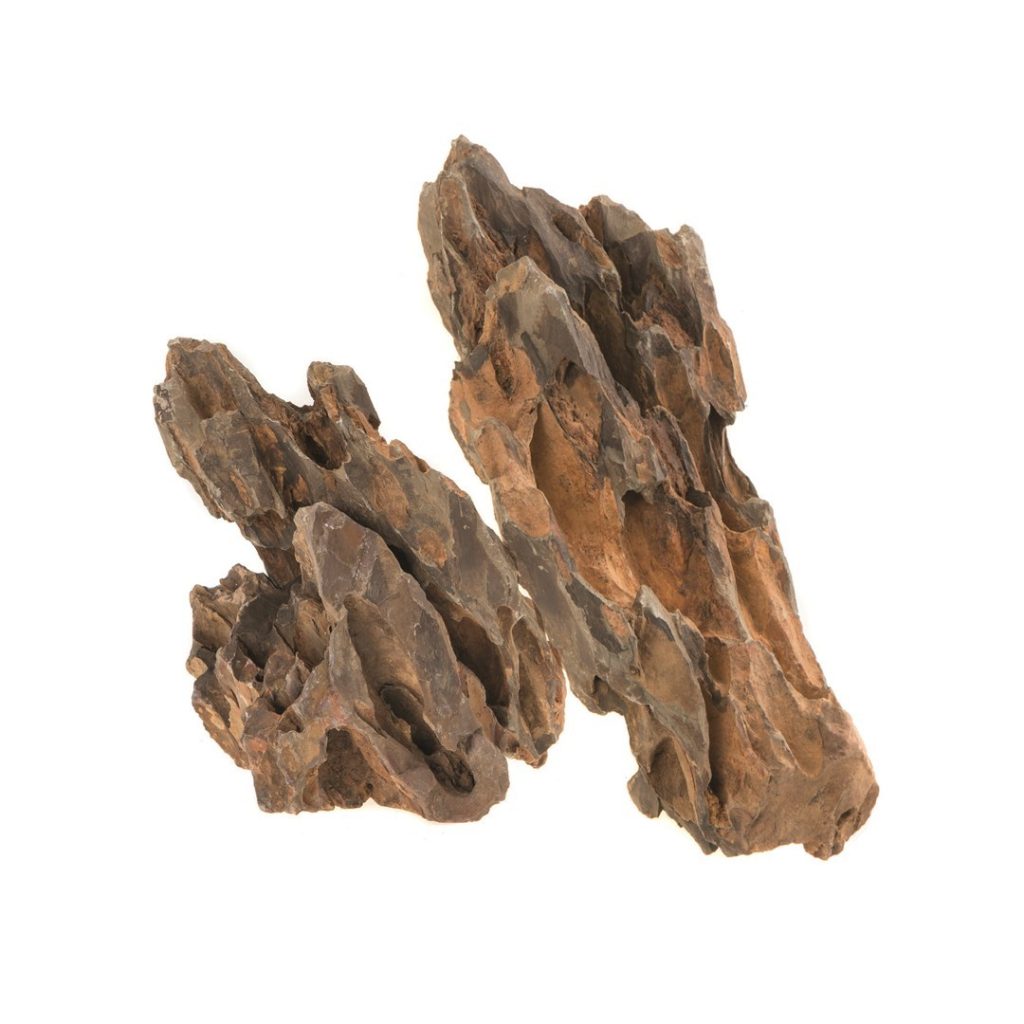 DINOSAUR BONE STONE MIX 246309