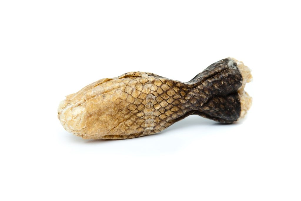 COMFY NATURAL BONE WITH FISH 12CM