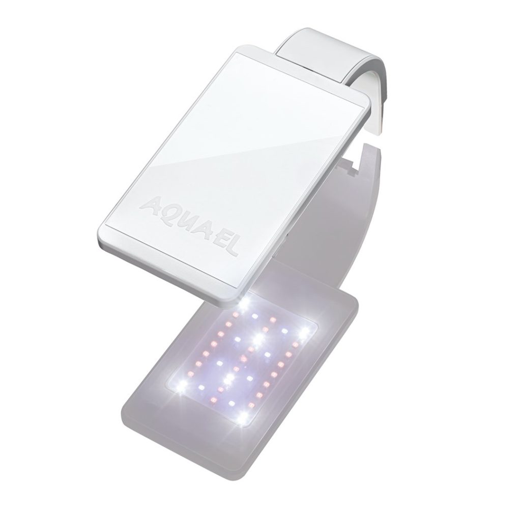 LEDDY SMART 4,8W PLANT D&N WHITE