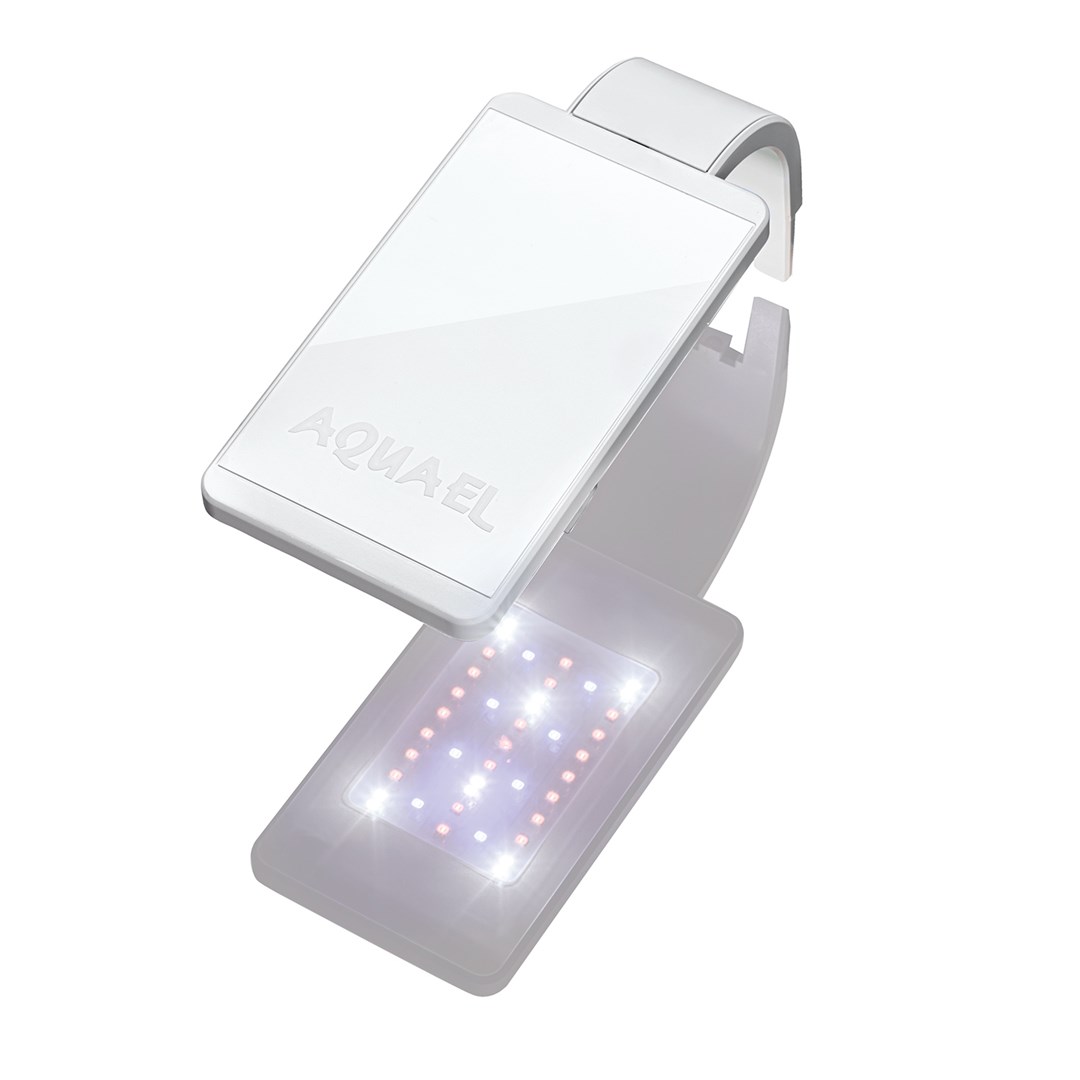 LEDDY SMART 4,8W PLANT D&N WHITE