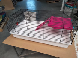 COMFY CAGE BANNY 3 PLUS LIMITED EDITI X