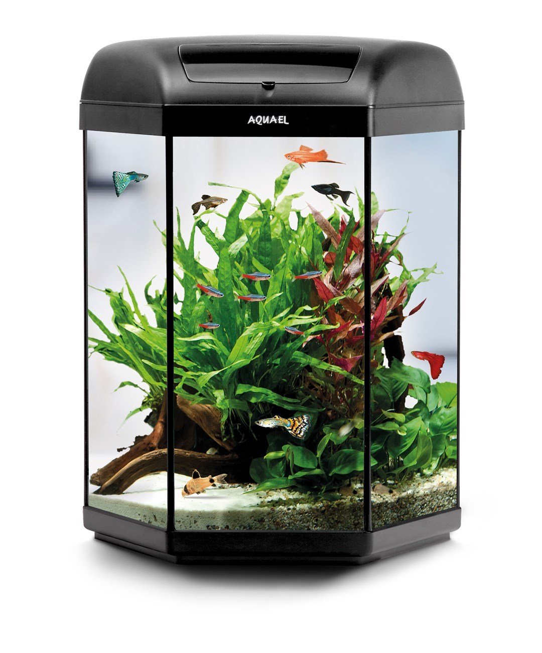 AQUARIUM SET HEXA SET BLACK 60 D&N