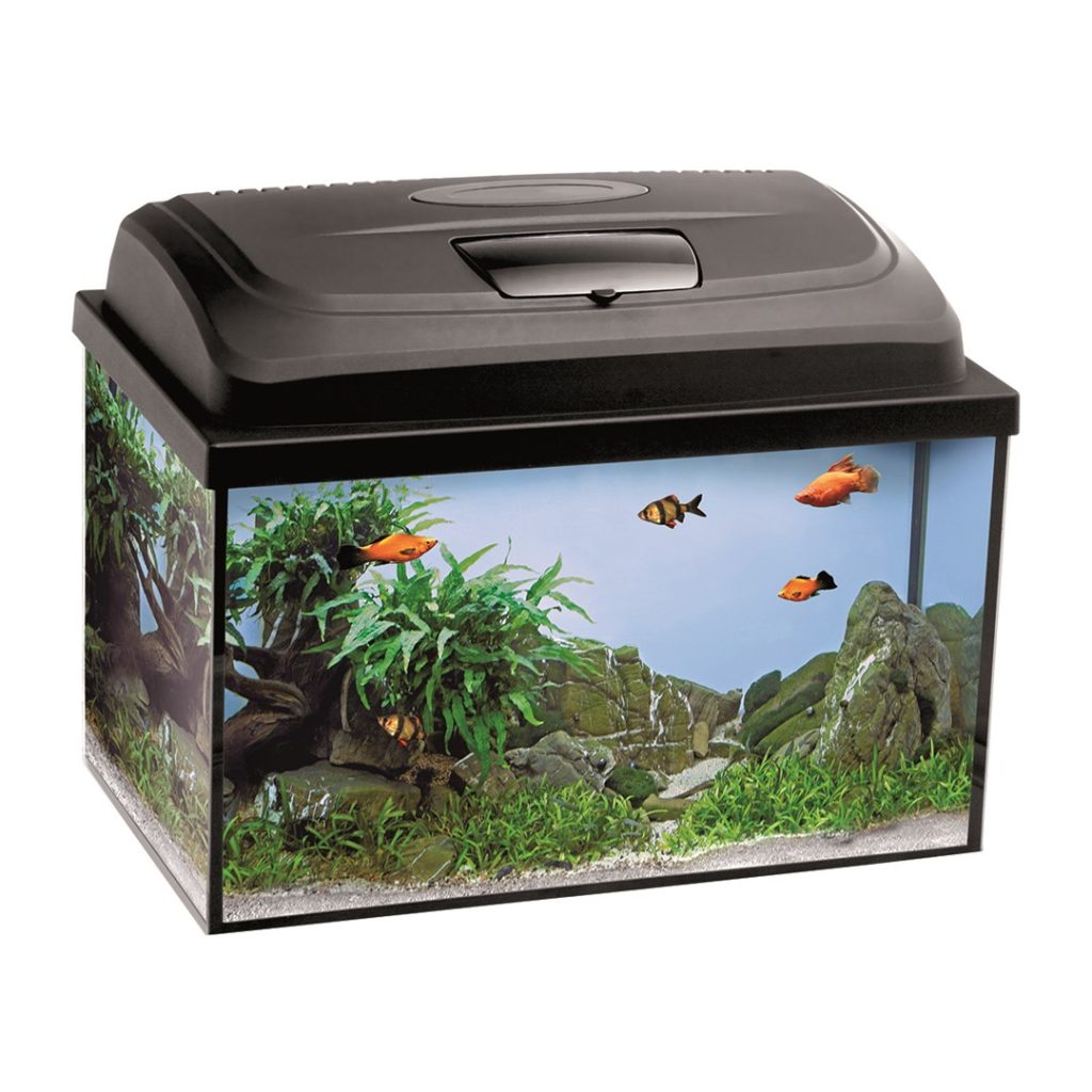 AQUARIUM SET AQUA4KIDS 40/P D&N