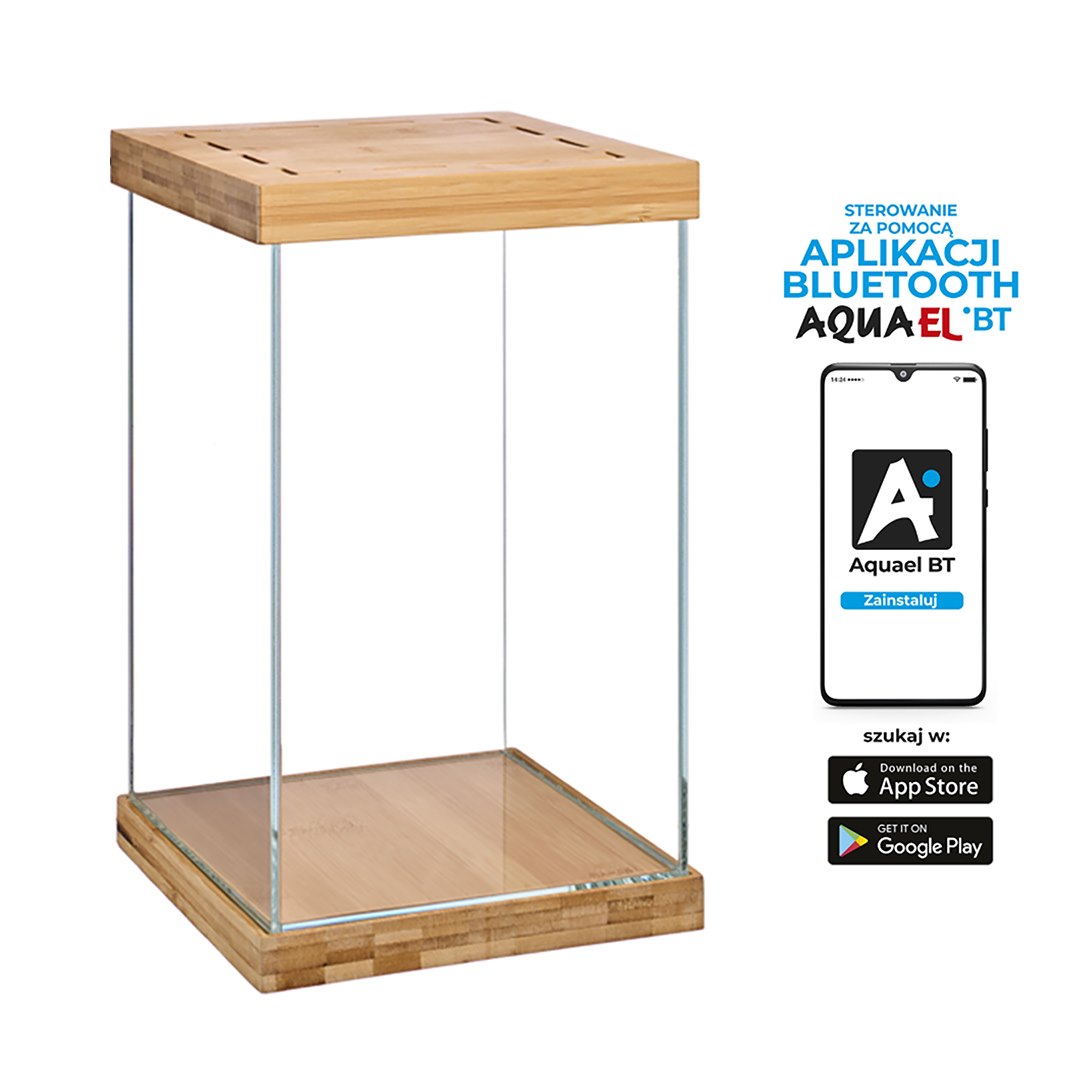 SELVA - MINI TERRARIUM