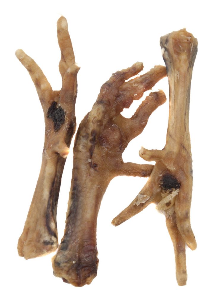 COMFY APPETIT SNACK CHICKEN FEET N. 5PCS