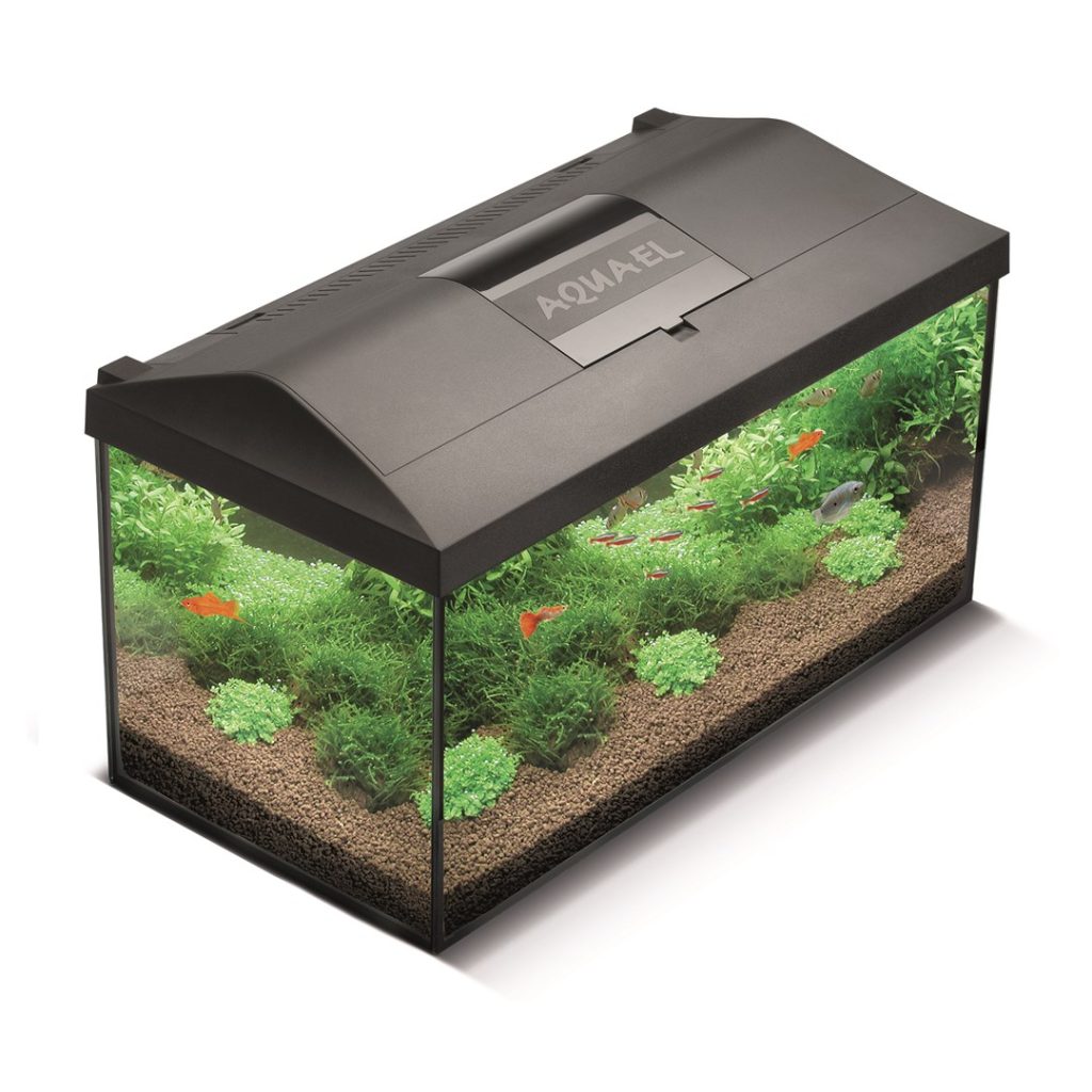 AQUARIUM LEDDY 60 D&N BIOFS black 2.0