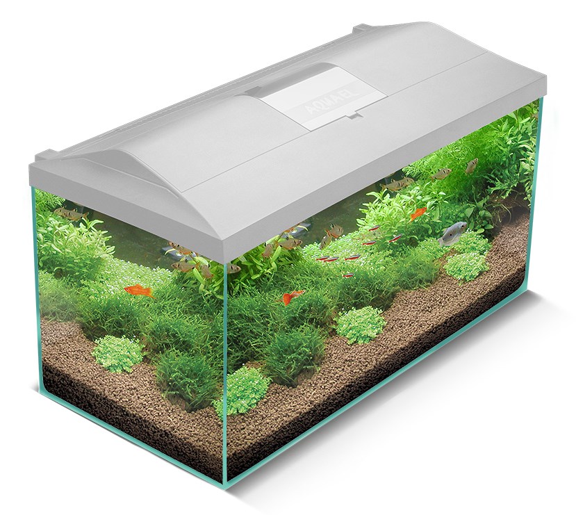 AQUARIUM LEDDY 75 D&N BIOFS white 2.0