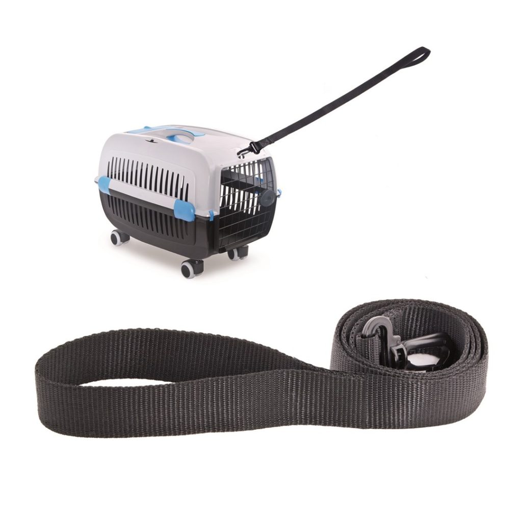 PI LEASH TO TRANSPORTER COSMOS X