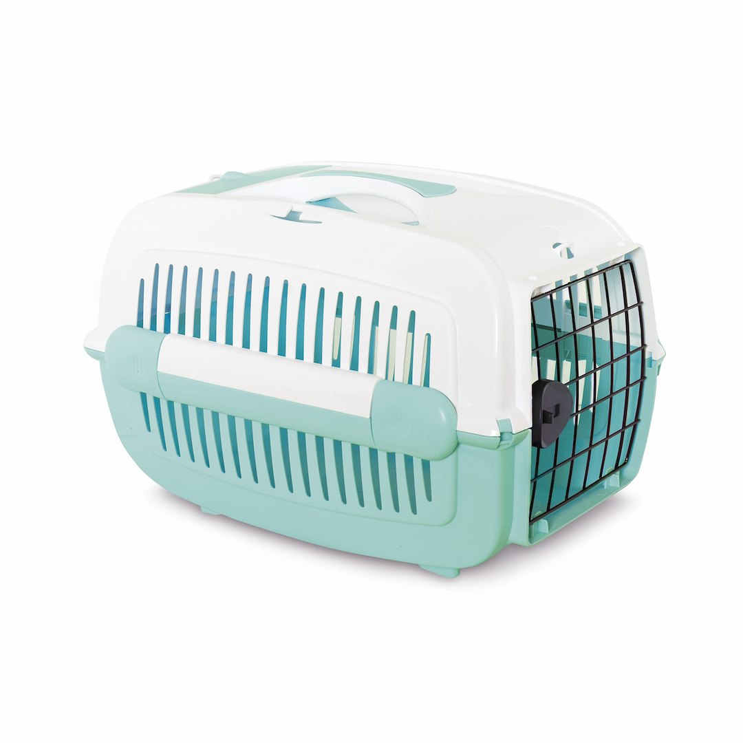 PI/COM TRANSP.COSMOS S SWEET MINT