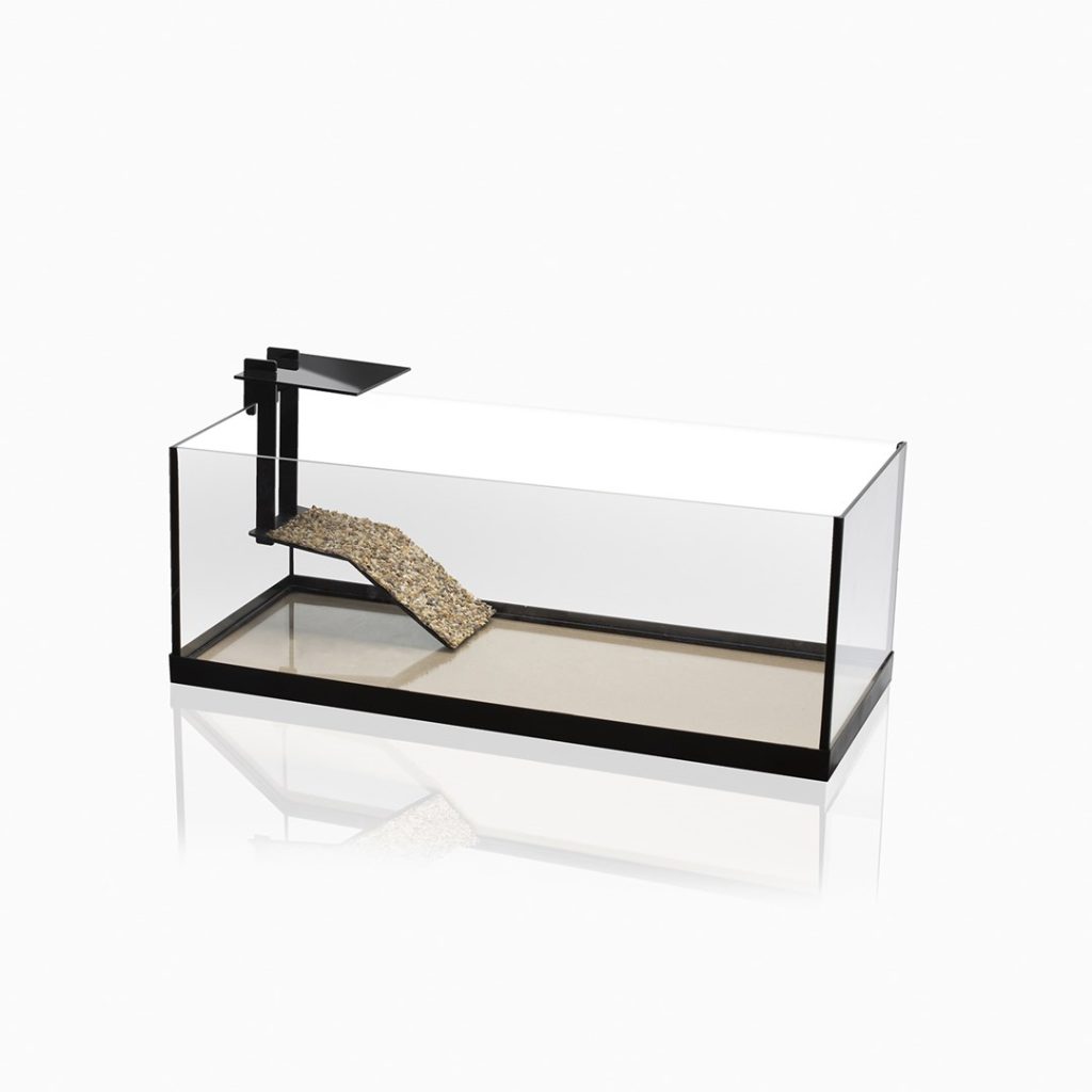 Aquaterrarium 60