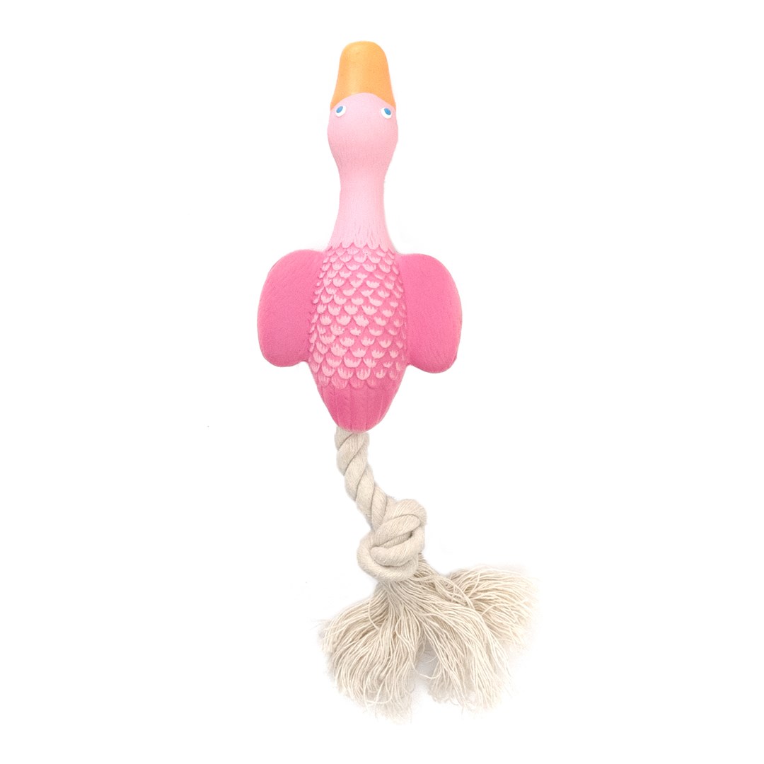 HAP TOY LX DUCK WITH ROPE PINK 23CM